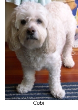 Coby