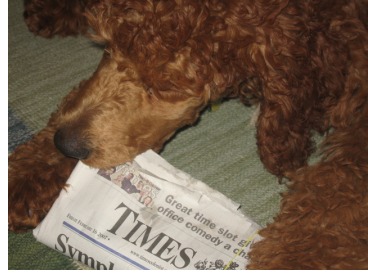 Piper delivers the news